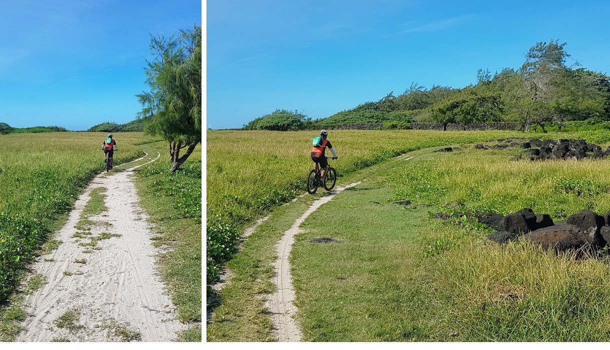 Le souffleur à l' Ile Maurice 