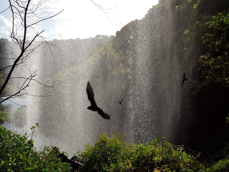 sous la cascade Mauritius