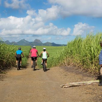 Balade à Vélo Electrique à Pamplemousses ile Maurice